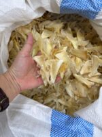 Shark Fins (Process) - Image 3