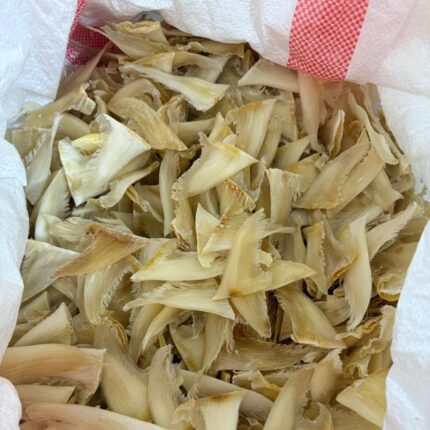 Shark Fins (Process)