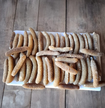 Disco Fish Sea Cucumber (DRY)