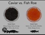Fish Roe (Available)