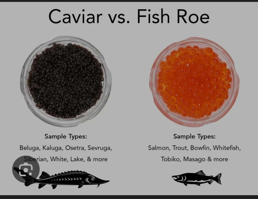 WhatsApp Image 2026-07-05 at 2.09.35 PM Fish Roe (Available) - Image 1